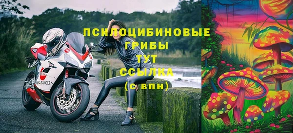 экстази Арсеньев