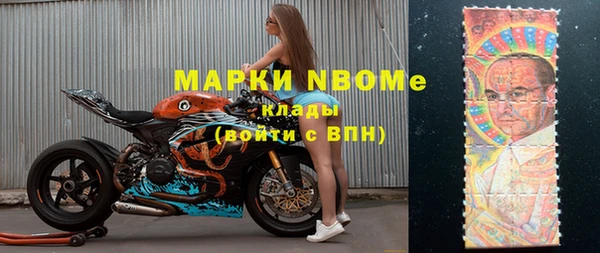 крисы Сосновый Бор