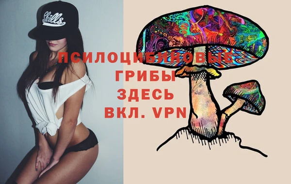 ALPHA-PVP Армянск