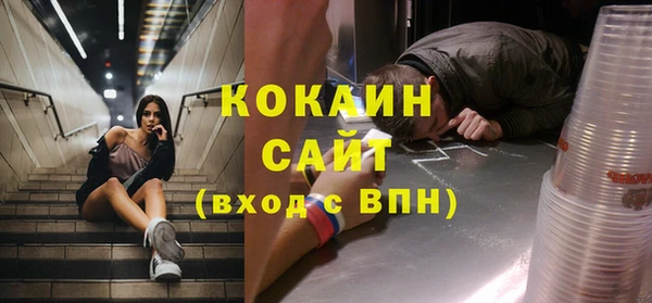 ПСИЛОЦИБИНОВЫЕ ГРИБЫ Аркадак